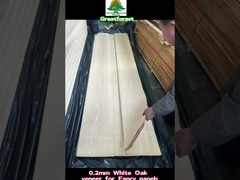 Kayu Alam Oak Putih Amerika 0.5mm Veneer