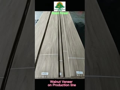 Veneer kayu alami