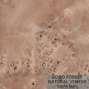Veneer Kayu Pohon Burl Lembar Veneer Poplar Putih Alami Sangat Baik
