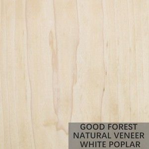 Veneer Kayu Pohon Burl Lembar Veneer Poplar Putih Alami Sangat Baik