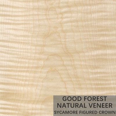 Natural Sycamore Figured Wood Veneer 0.3mm - 0.5mm Untuk Pintu Interior