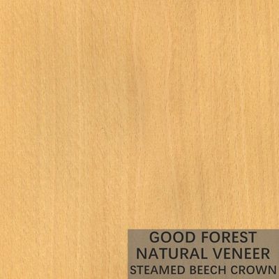 Veneer Beech Kukus Alami Membungkus Veneer Butir Vertikal Luar Biasa