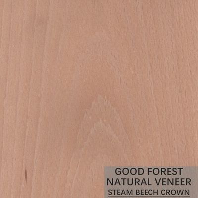 Veneer Beech Kukus Alami Membungkus Veneer Butir Vertikal Luar Biasa