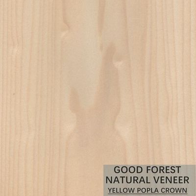 Mappa Tulip Natural Wood Veneer Boxwood Excellent Double Color