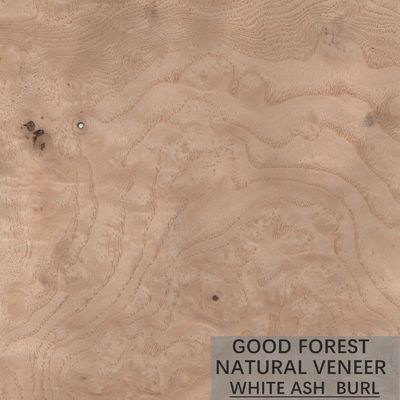 Lembar Veneer Kayu ASH Alami Butir Khusus Disesuaikan Untuk Pintu