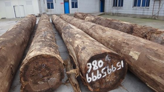 Laminated Santos Rosewood Kayu Veneer Mahkota Ketebalan butir dapat disesuaikan 0.15-1.8mm Untuk Untuk wajah kabinet
