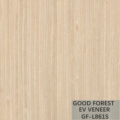 Veneer Kayu Rekayasa Veneer Kayu Maple Mendukung Layanan yang Disesuaikan