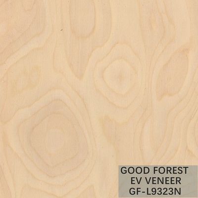 Direkayasa Veneer Kayu Akar Pohon Veneer Kayu Alami/Warna Dicelup