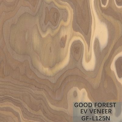 Direkayasa Veneer Kayu Akar Pohon Veneer Kayu Alami/Warna Dicelup