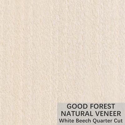 Layanan Pemotongan Mahkota Veneer Kayu Beech Putih Alami yang Disesuaikan