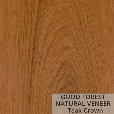 Veneer Kayu Jati Natural Natural Crown Cut Veneer Sertifikasi FSC