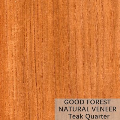 Veneer Kayu Jati Natural Natural Crown Cut Veneer Sertifikasi FSC