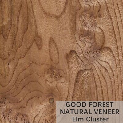 ELM Natural Wood Veneer Crown Cut Grain Memberikan Layanan yang Disesuaikan