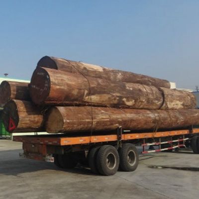 Fancy Recomposed White Oak Wood Veneer H7036 Slice Cut Untuk Pintu Dan Jendela ISO