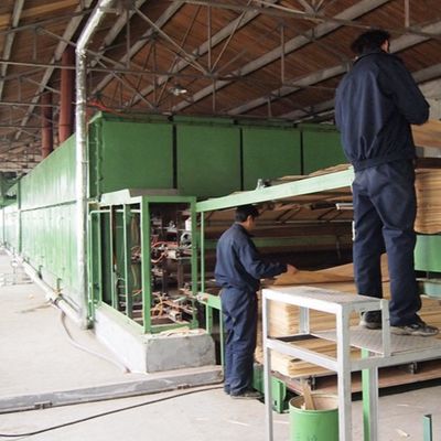 Veneer Kayu Abu Alami Dekoratif yang Dibentuk Ulang WA-X806 Kerajinan Butir Halus