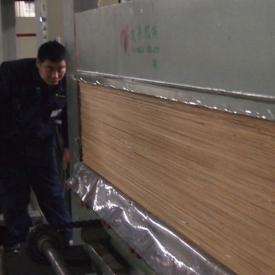 Veneer Kayu Abu Alami Dekoratif yang Dibentuk Ulang WA-X806 Kerajinan Butir Halus