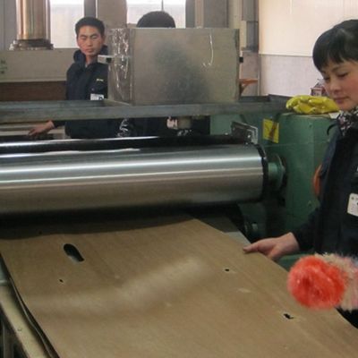 Lembar Veneer Kayu Abu Putih yang Dikomposisi Ulang Wa-X206 Quarter Cut Untuk Kayu Lapis Mewah