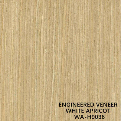 ISO Simulasi Veneer Kayu Aprikot Putih H9036 Potongan Lurus Untuk Produsen Wajah Kabinet Dari Cina