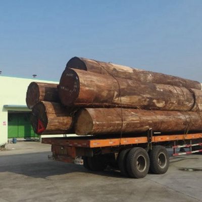 Tekstur kisi 2200mm veneer ek rekayasa Untuk papan dekoratif dalam ruangan