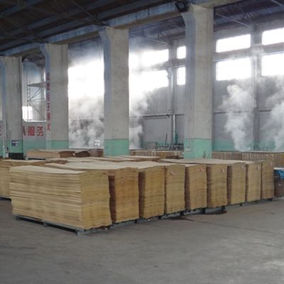 Veneer Rekomposisi - Veneer Rekayasa 3D, Formaldehida Rendah & Buktinya Kelembaban 3DZM-L6.1