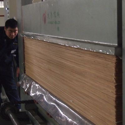 Tekstur kisi 2200mm veneer ek rekayasa Untuk papan dekoratif dalam ruangan