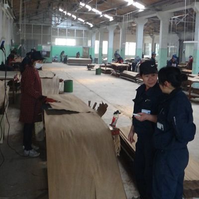 Simulasi Kayu Putih Ice Tree Veneer 3100mm Indoor Dekorasi Papan
