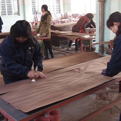 Rekonstitusi Direkayasa Veneer Kayu Ebony H408 3100mm Untuk Kabinet