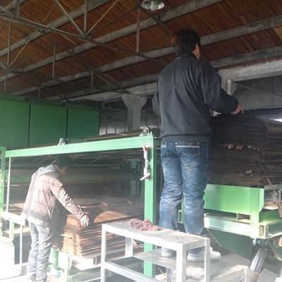 Ash Sapele Pommele Furnir Kayu Rekayasa Ukuran Standar 2500*640mm