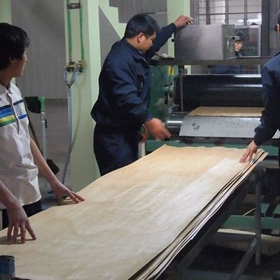 Berasap Sapele Pommele Insinyur Oak Veneer Ketebalan 0.18-0.6mm Untuk Panel Dinding