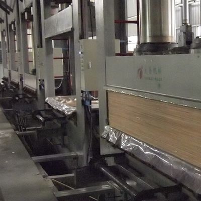 Tekstur yang tidak teratur Kayu veneer Burl Dan Akar Mata Burung Putih 2500-3100 Mm Indoor