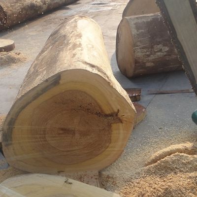 Berasap Sapele Pommele Insinyur Oak Veneer Ketebalan 0.18-0.6mm Untuk Panel Dinding
