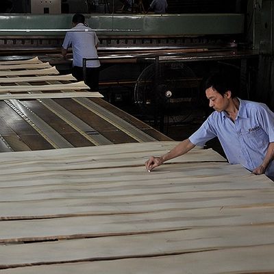 Veneer Kayu Jati Kelas AAA Kontras Garis Hitam Butir Lurus Untuk Kayu Lapis Mewah