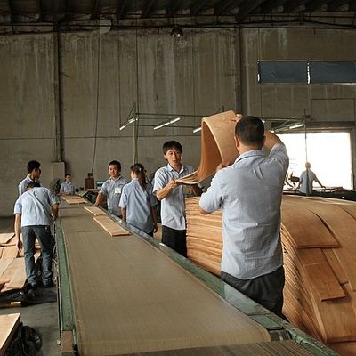 Tambahkan Keanggunan Ke Ruang Panel Lapisan Maple Flakulenta Bayangan Tekstur Manifestasi
