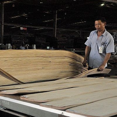 Alat Musik Afrika Anegre Fiddle Wood Veneer Fiddle Back Grain 0.5mm