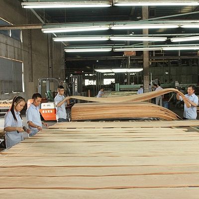Tambahkan Keanggunan Ke Ruang Panel Lapisan Maple Flakulenta Bayangan Tekstur Manifestasi