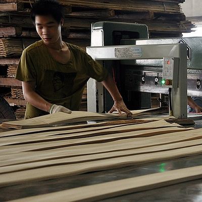 Artificial Wood Veneer of Golden Tree Ring 0.30mm G.TR-X3388 Slice Cut Untuk Wajah Kabinet