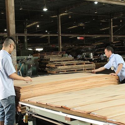 Crown Cut Grain Aaa Grade 0.5mm Red Oak Wood Veneer Untuk Furnitur Muka Dan Pintu