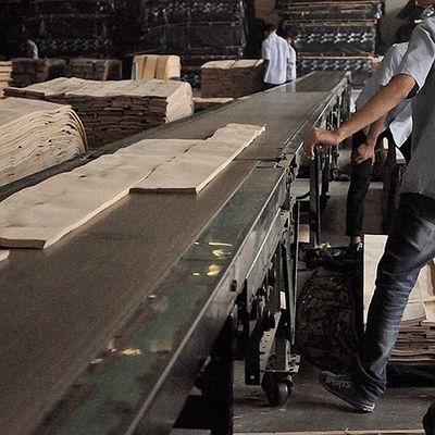Kabinet / Pintu Kontras Garis Hitam Mahkota Butir Veneer Kayu Jati Alami 0.15-0.55mm