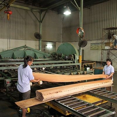 American Natural Poplar Wood Veneer Quarter Cut Warna Ganda Untuk Dekorasi