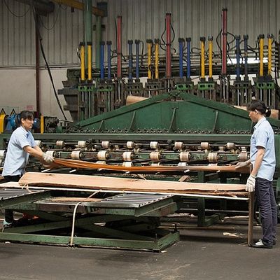 Quarter Cut Irregular Straight Figured Prima Vera Veneer Untuk Pintu Dan Jendela