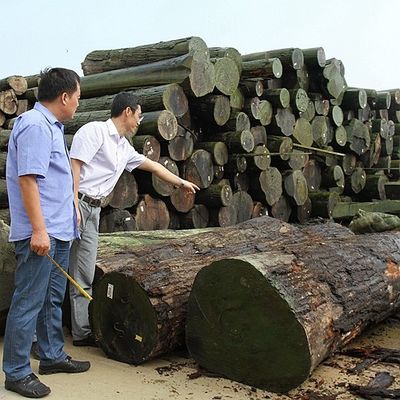 Ukuran 2440*1220mm Ketebalan 0,4mm Untuk Dekorasi Proyek Furnitur
