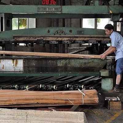 Natural Ash Wood Veneer Flat Cut Crown Grain Untuk Wajah Kabinet