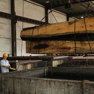 Veneer Kayu Poplar Alami Warna Putih Lurus Amerika Untuk Kayu Lapis / Pintu Mewah