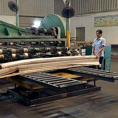 Africa Natural Koto Wood Veneer Quarter Cut Straight Grain Kualitas Bagus Untuk Proses Pencelupan Dapat Disesuaikan