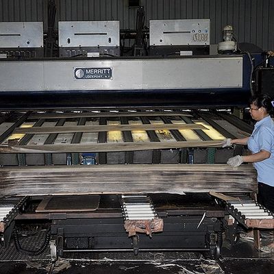 Veneer Kayu Poplar Alami Warna Putih Lurus Amerika Untuk Kayu Lapis / Pintu Mewah