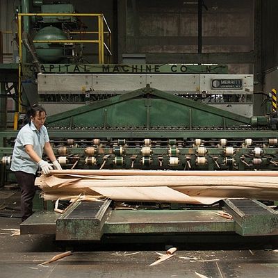 Veneer Kayu Okoume Alami Khusus Layanan Selip Butir Selangkangan Untuk Dekorasi Hotel