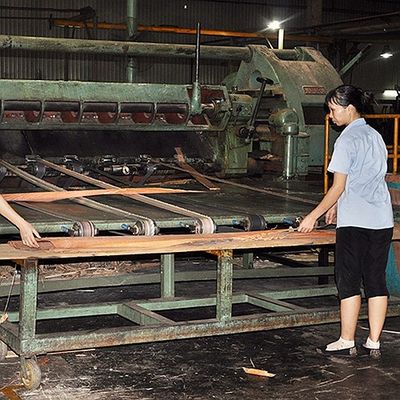 Natural White Ash Wood Veneer Quarter Cut Straight Grain Length 2050-3200mm Untuk Furnitur Dan Pintu