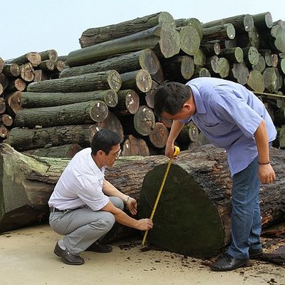 American Natural Walnut Wood Veneer Quarter Cut Lurus Gambar Untuk Pembuatan Furnitur Kelas Tinggi Fsc China Manufacturer