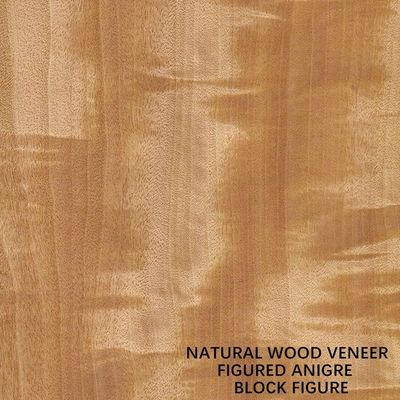 Anegre Africa Natural Wood Veneer Block Figure Grain Uniform Color 0.5mm