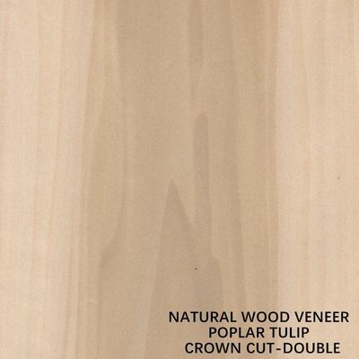 Double Color American Natural Poplar Wood Veneer Flat Cut Crown Untuk Kayu Lapis Mewah